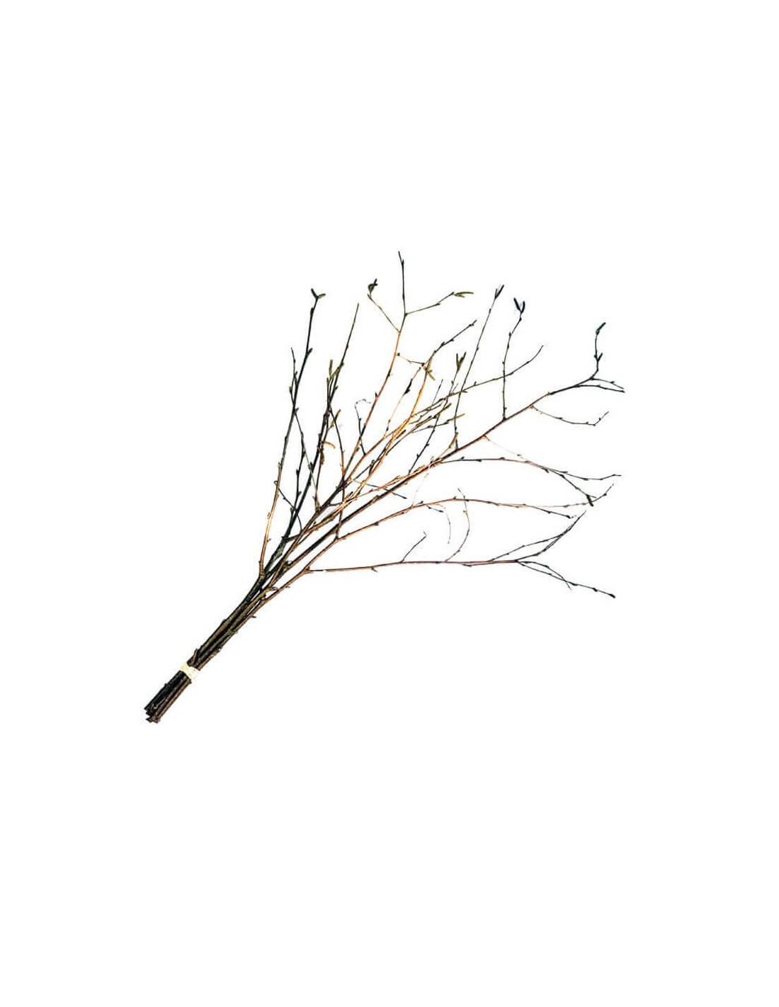 Fastelavnsris med birkegrene – skab festlig stemning!