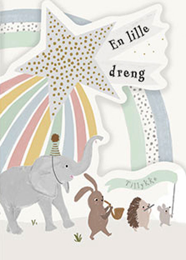 Sødt Pastel Baby Dreng Kort til Dåb og Navngivning