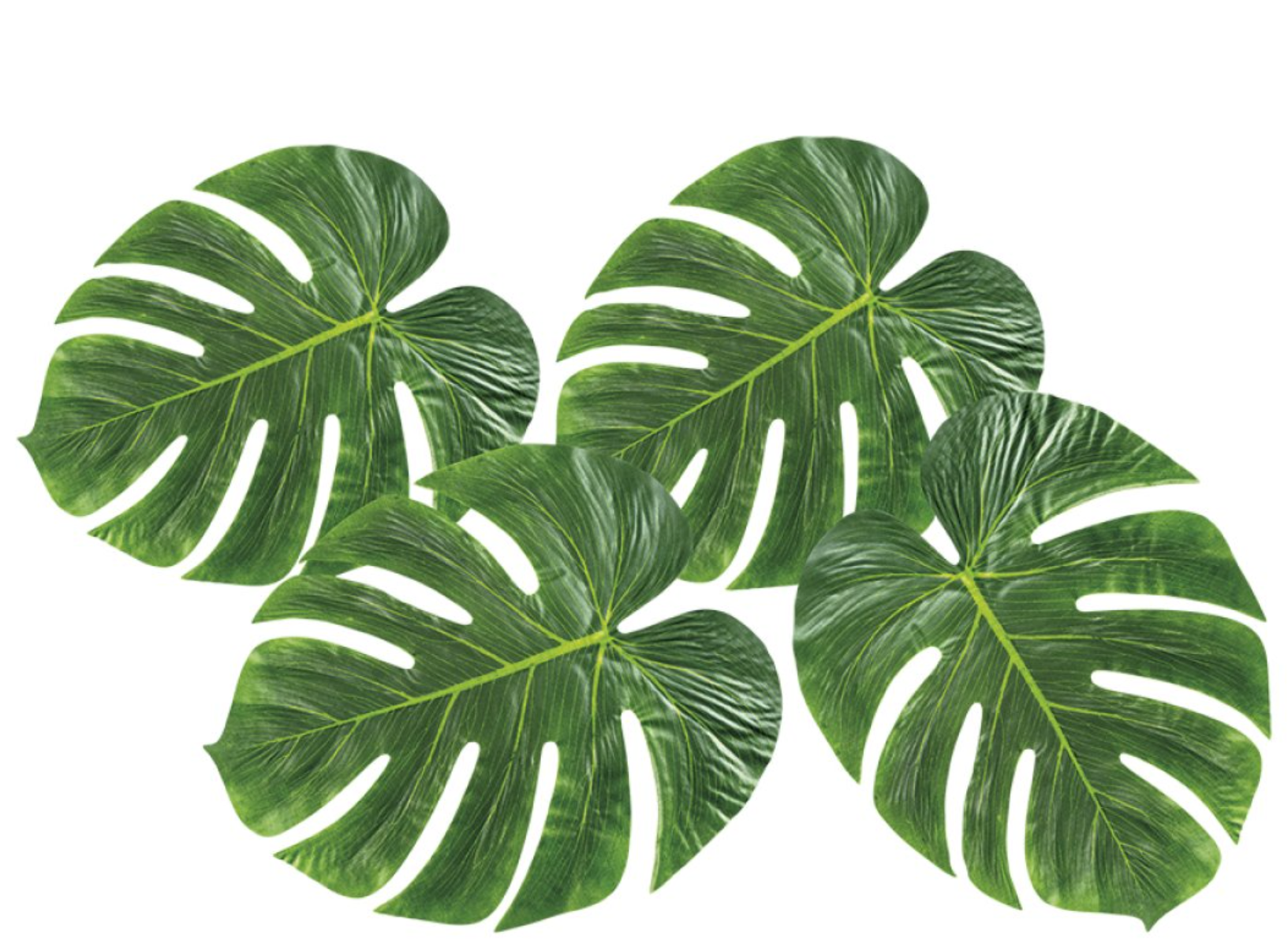 Monstera Dekorationsblade - 4 stk. til dit hjem