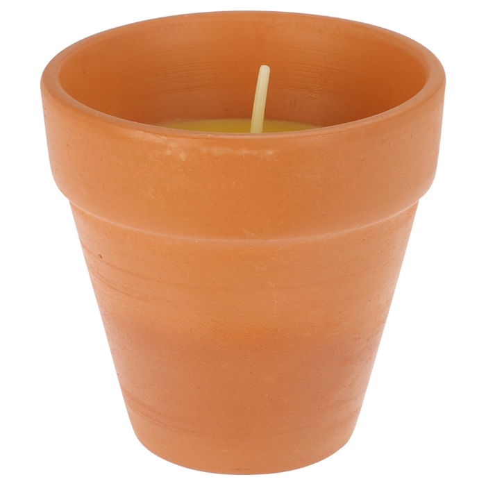 Citronella Lys   Terracotta Potte 9x9