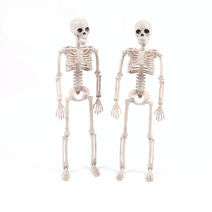 Halloween Skelet 90 cm - Gør din fest uhyggelig!