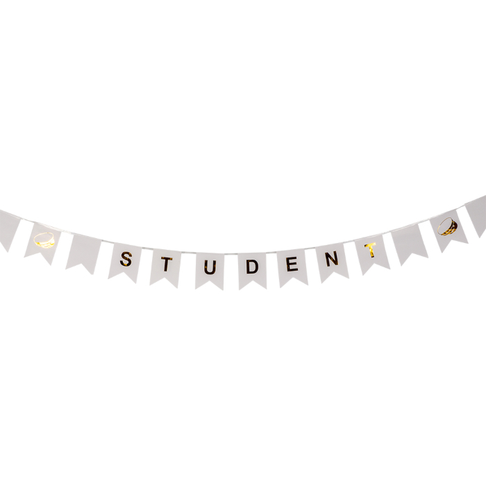 Studenterbanner Guirlande med Flag - Festlig Dekoration