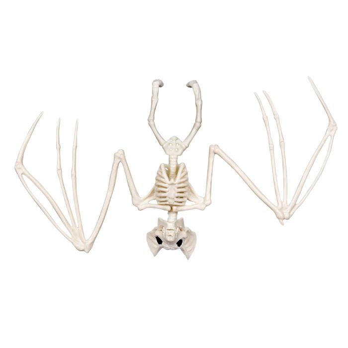 Flagermus Skelet Dekoration - Perfekt til Halloween!