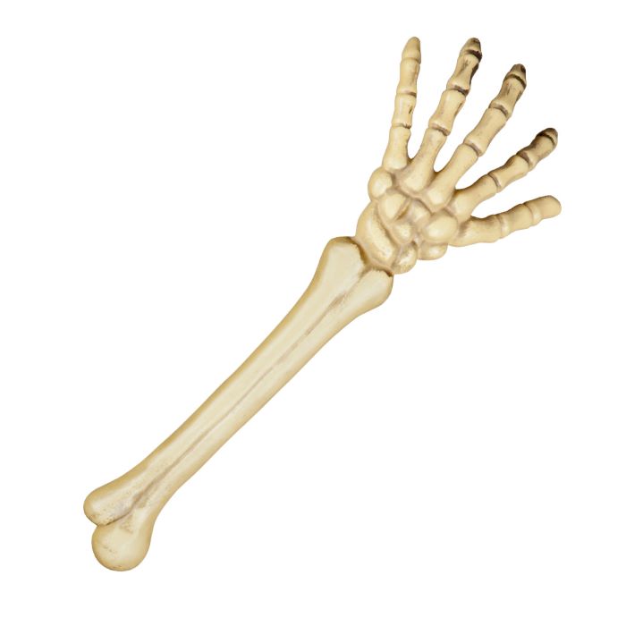 Halloween Skelet Arm 46 cm - Perfekt til Halloween Fest!
