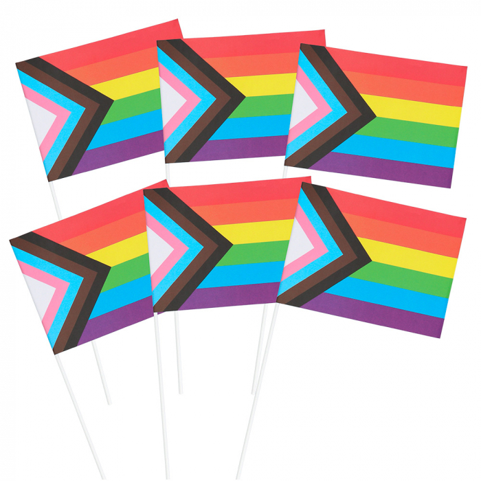 Progress Pride Flag på Pind - 20x14 cm til Festen