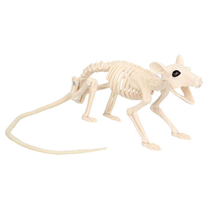Rotte Skelet Dekoration - Halloween Udsmykning 46x7x10 cm