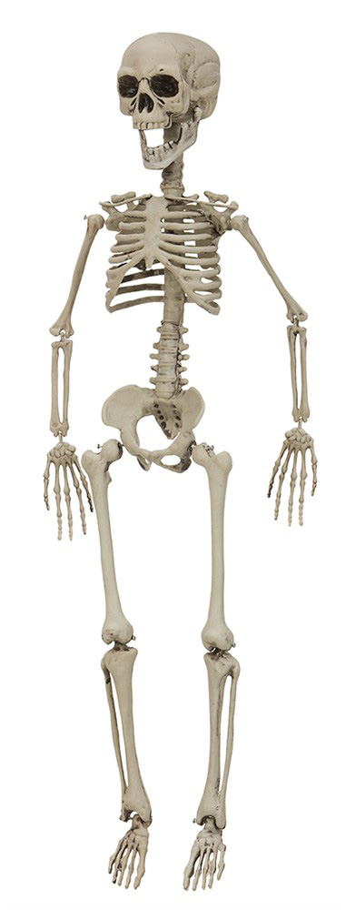 Skræmmende Halloween Skelet 76 cm - Uundgåelig Dekoration