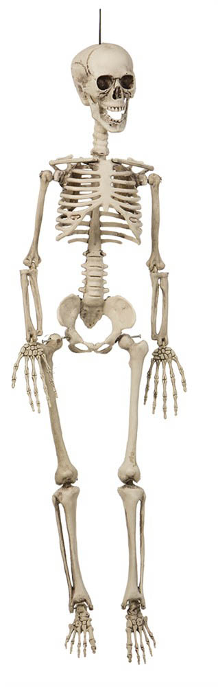 Uhyggeligt Halloween Skelet 90 cm – Perfekt festdekoration!