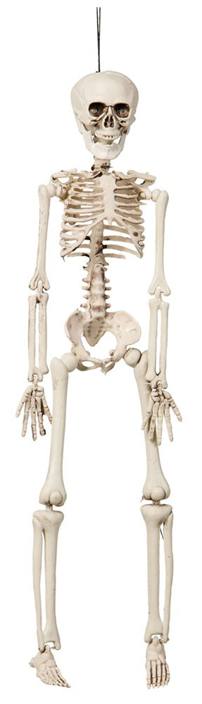 Mini Skelet 42 cm – Skræmmende Halloween Dekoration