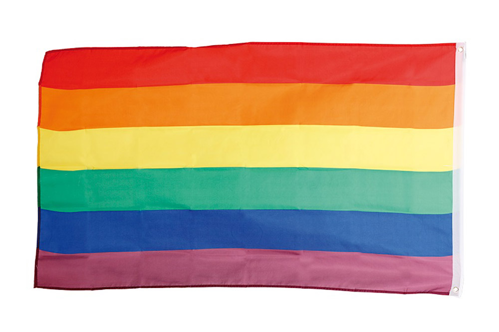 Pride Flag i Polyester – 90 x 60 cm til Mangfoldighedsfejring
