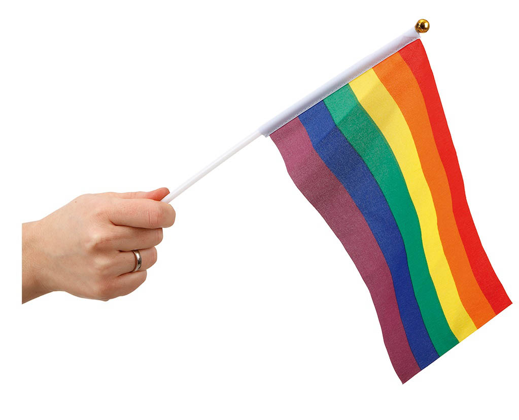 Små Vifteflag til Fejring af Mangfoldighed og Stolthed