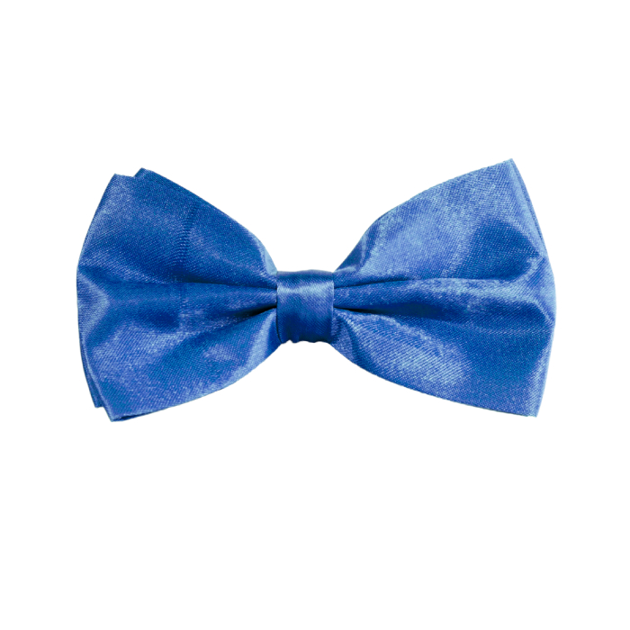 Flot Butterfly Hat i Blå – Perfekt til Festen!