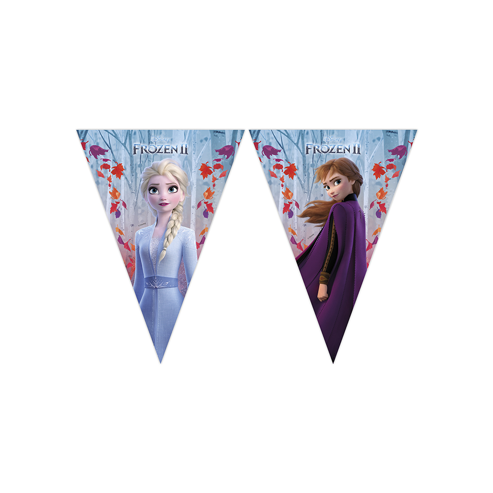 Frost 2 Vimpelguirlande med Flag til Festdekoration